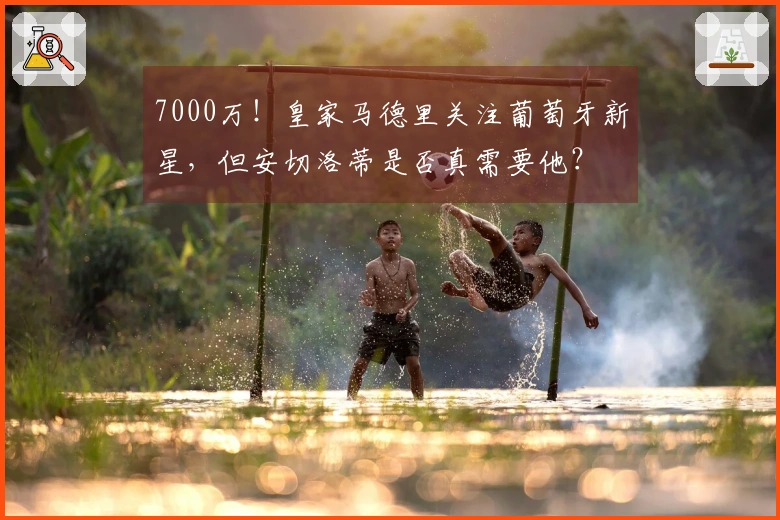 7000万！皇家马德里关注葡萄牙新星，但安切洛蒂是否真需要他？