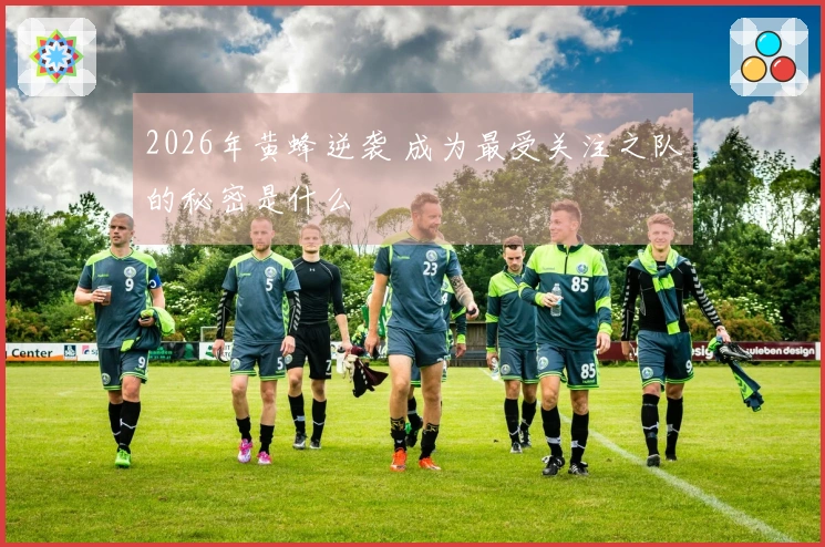 2026年黄蜂逆袭 成为最受关注之队的秘密是什么