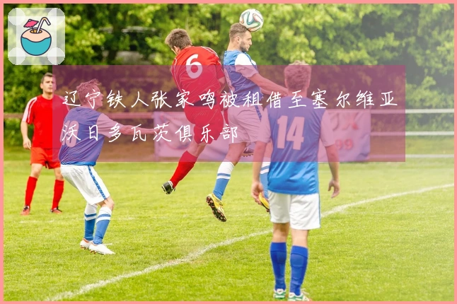辽宁铁人张家鸣被租借至塞尔维亚沃日多瓦茨俱乐部