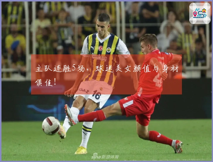 主队连胜5场，球迷美女颜值与身材俱佳！